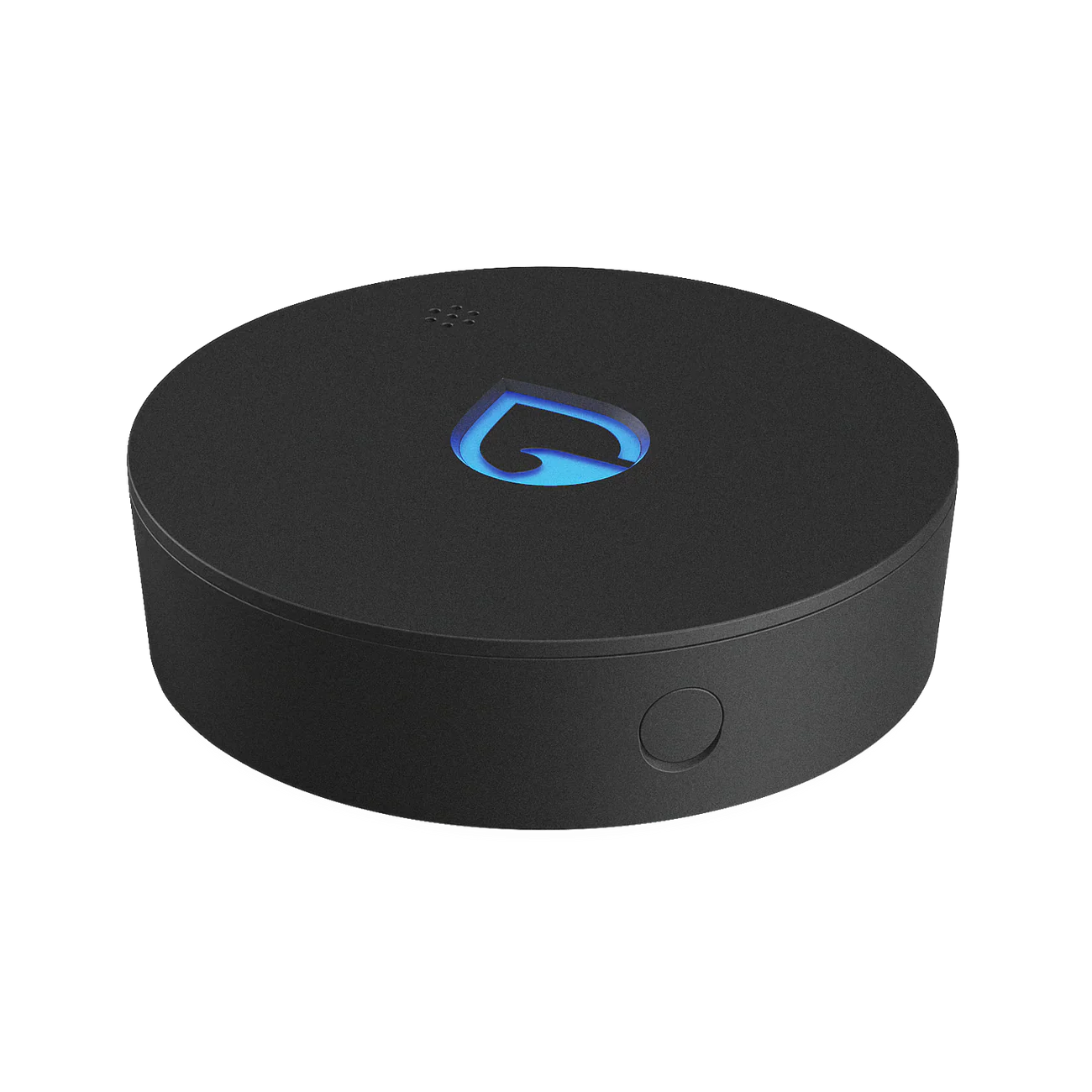 Phyn Smart Water Sensor