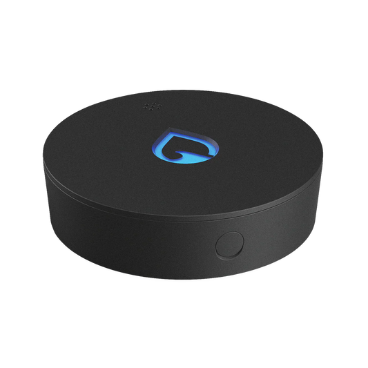 Phyn Smart Water Sensor